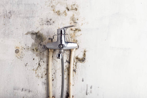 Best Emergency Mold Removal  in Half Moon Bay, CA