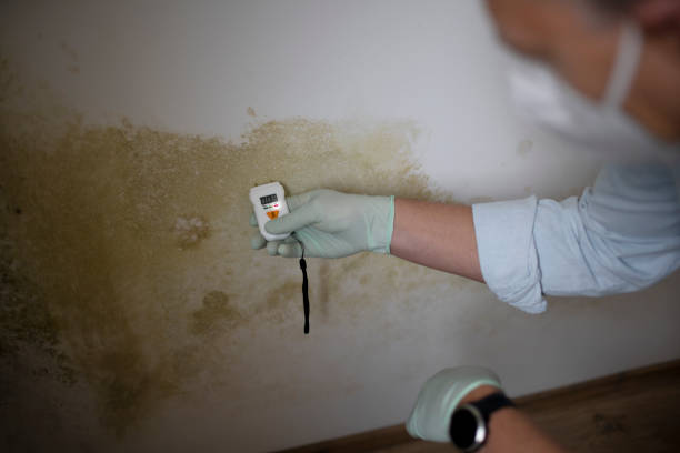 Best Water Damage Restoration  in Half Moon Bay, CA