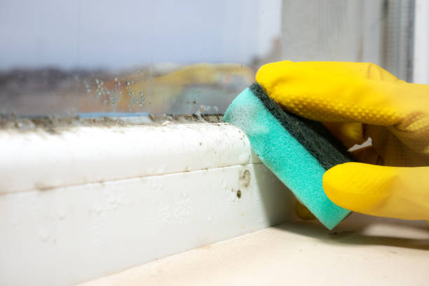 Best Mold Testing  in Half Moon Bay, CA