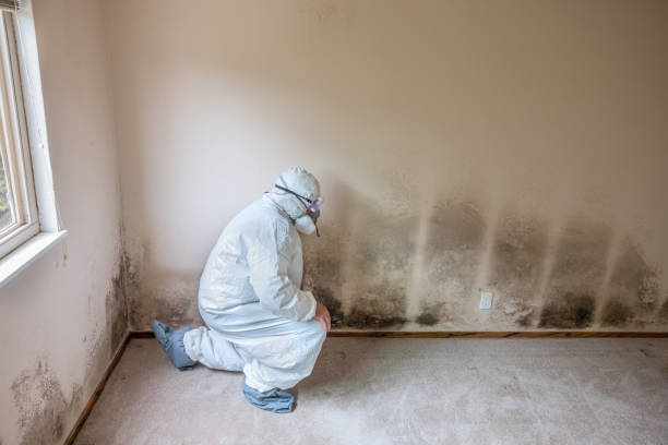 Best Mold Testing  in Half Moon Bay, CA