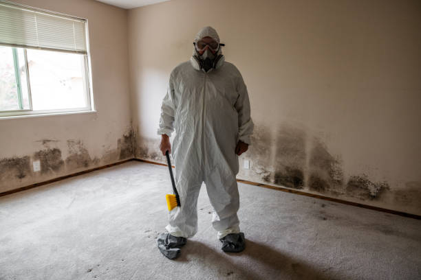 Best Residential Mold Removal  in Half Moon Bay, CA